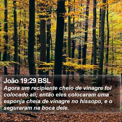 João 19:29 BSL Bible Verse Image