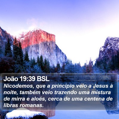 João 19:39 BSL Bible Verse Image