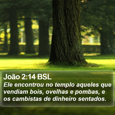 João 2:14 BSL Bible Verse Image
