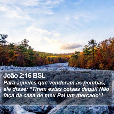 João 2:16 BSL Bible Verse Image