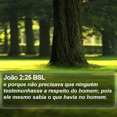 João 2:25 BSL Bible Verse Image