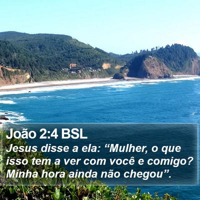 João 2:4 BSL Bible Verse Image