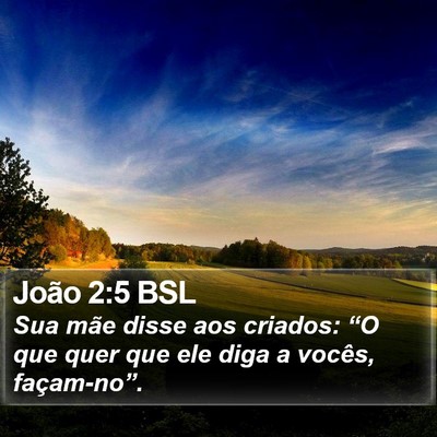João 2:5 BSL Bible Verse Image
