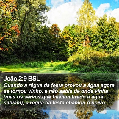 João 2:9 BSL Bible Verse Image