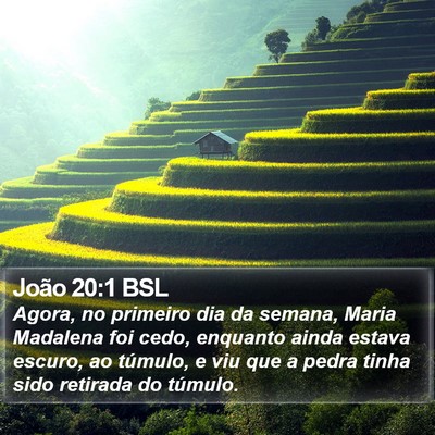 João 20:1 BSL Bible Verse Image