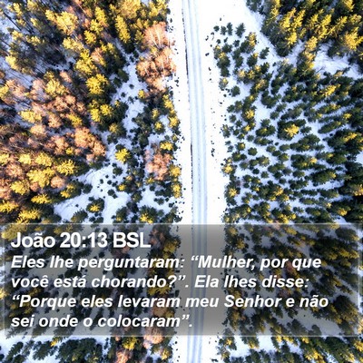 João 20:13 BSL Bible Verse Image