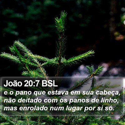 João 20:7 BSL Bible Verse Image