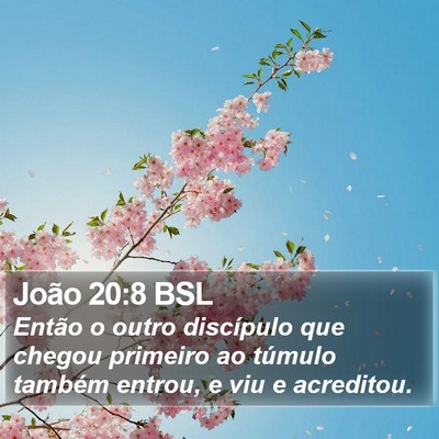 João 20:8 BSL Bible Verse Image