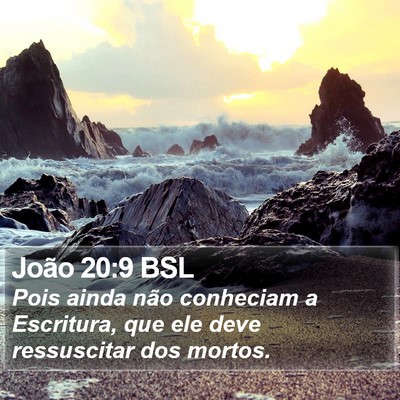 João 20:9 BSL Bible Verse Image