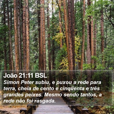 João 21:11 BSL Bible Verse Image