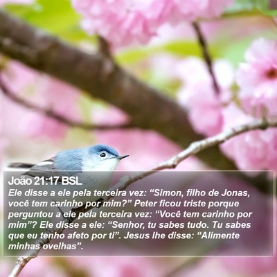 João 21:17 BSL Bible Verse Image