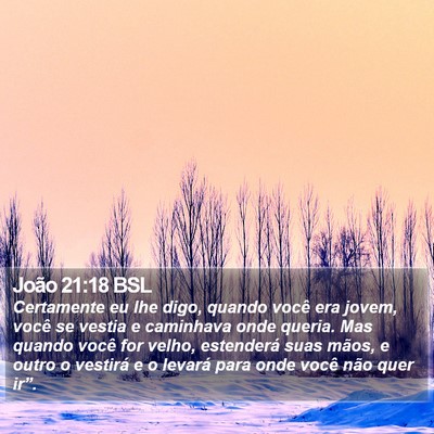 João 21:18 BSL Bible Verse Image