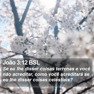 João 3:12 BSL Bible Verse Image