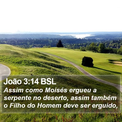 João 3:14 BSL Bible Verse Image