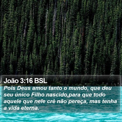 João 3:16 BSL Bible Verse Image