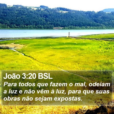 João 3:20 BSL Bible Verse Image