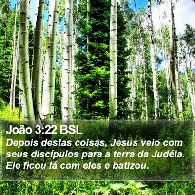 João 3:22 BSL Bible Verse Image