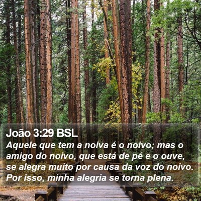 João 3:29 BSL Bible Verse Image