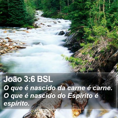 João 3:6 BSL Bible Verse Image