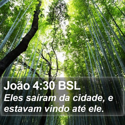 João 4:30 BSL Bible Verse Image