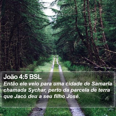 João 4:5 BSL Bible Verse Image
