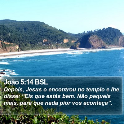 João 5:14 BSL Bible Verse Image
