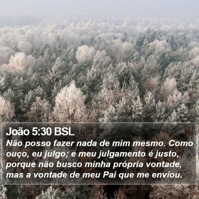 João 5:30 BSL Bible Verse Image