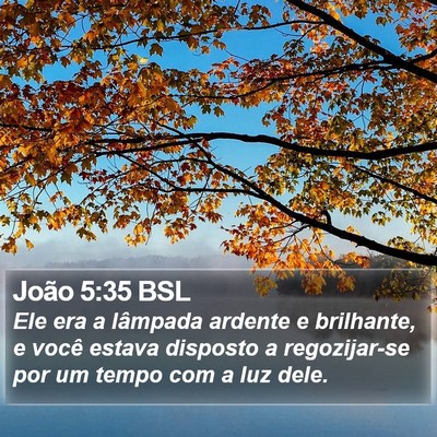 João 5:35 BSL Bible Verse Image