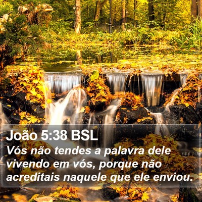 João 5:38 BSL Bible Verse Image