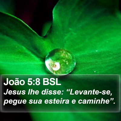 João 5:8 BSL Bible Verse Image