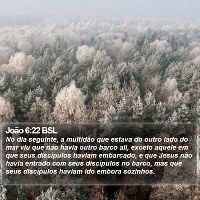 João 6:22 BSL Bible Verse Image