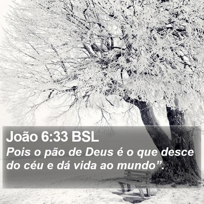 João 6:33 BSL Bible Verse Image