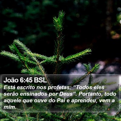 João 6:45 BSL Bible Verse Image