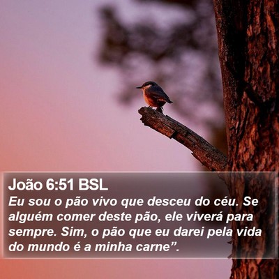João 6:51 BSL Bible Verse Image