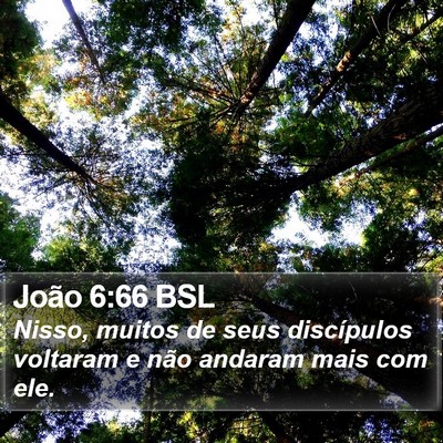 João 6:66 BSL Bible Verse Image