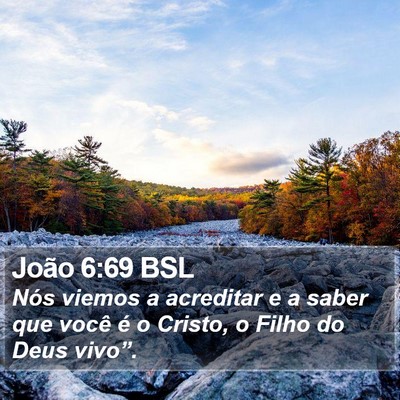 João 6:69 BSL Bible Verse Image