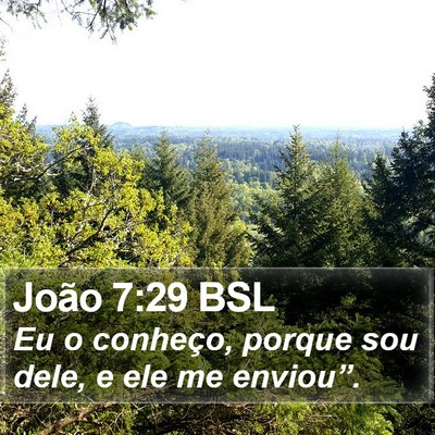João 7:29 BSL Bible Verse Image