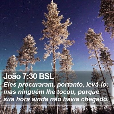 João 7:30 BSL Bible Verse Image