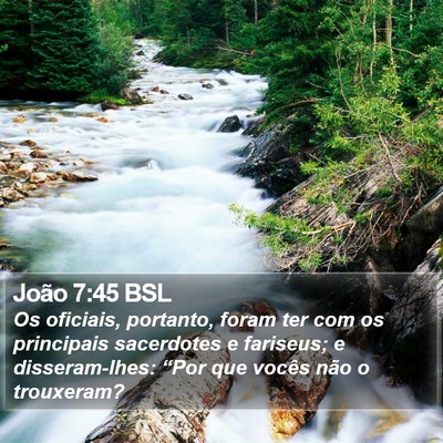 João 7:45 BSL Bible Verse Image