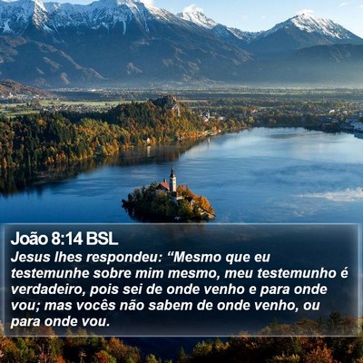 João 8:14 BSL Bible Verse Image