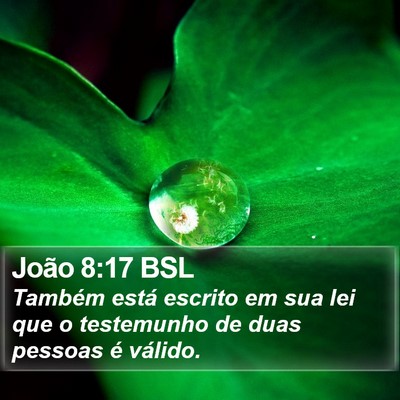 João 8:17 BSL Bible Verse Image