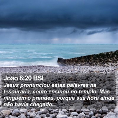 João 8:20 BSL Bible Verse Image