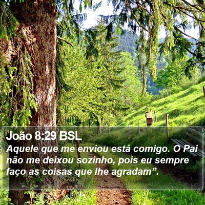 João 8:29 BSL Bible Verse Image