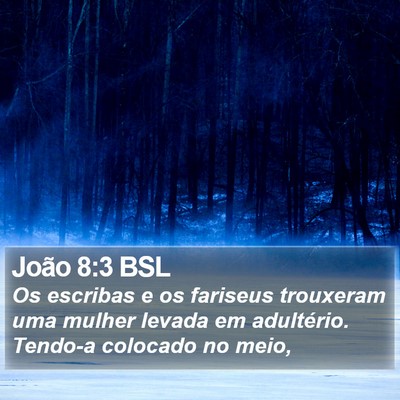 João 8:3 BSL Bible Verse Image