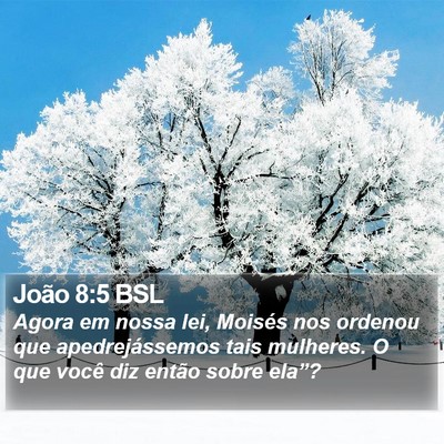 João 8:5 BSL Bible Verse Image