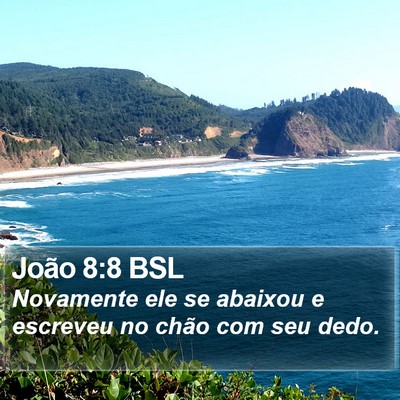 João 8:8 BSL Bible Verse Image
