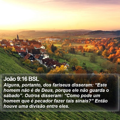 João 9:16 BSL Bible Verse Image