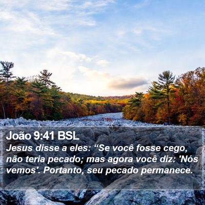 João 9:41 BSL Bible Verse Image