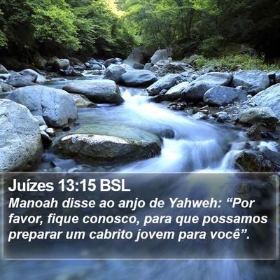 Juízes 13:15 BSL Bible Verse Image