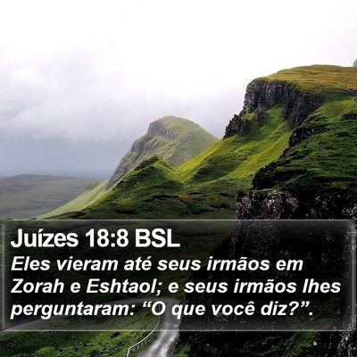 Juízes 18:8 BSL Bible Verse Image